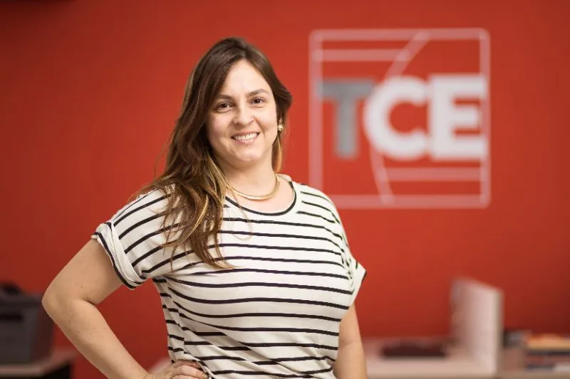 Como a TCE atua com consultoria contábil para pequenas empresas?
